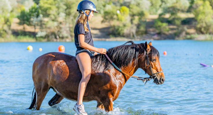activité, camping